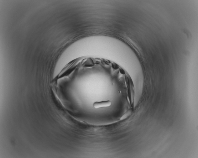 X0000113530117200910091231