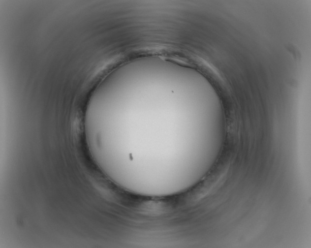 X0000113530119200910091231