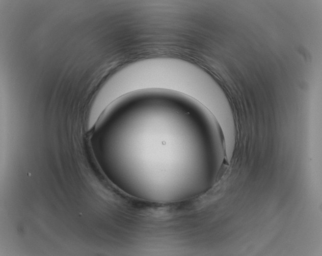 X0000113530120200910091231