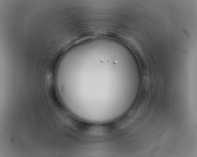 X0000113530123200910091230