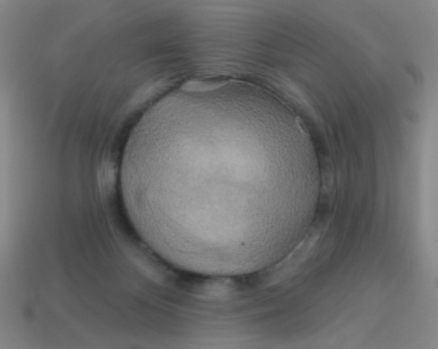 X0000113530124200910091230