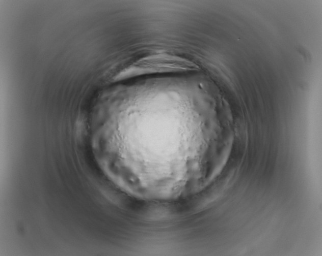 X0000113530127200910091230