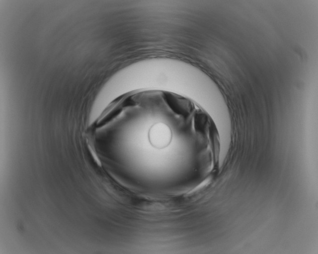 X0000113530129200910091230