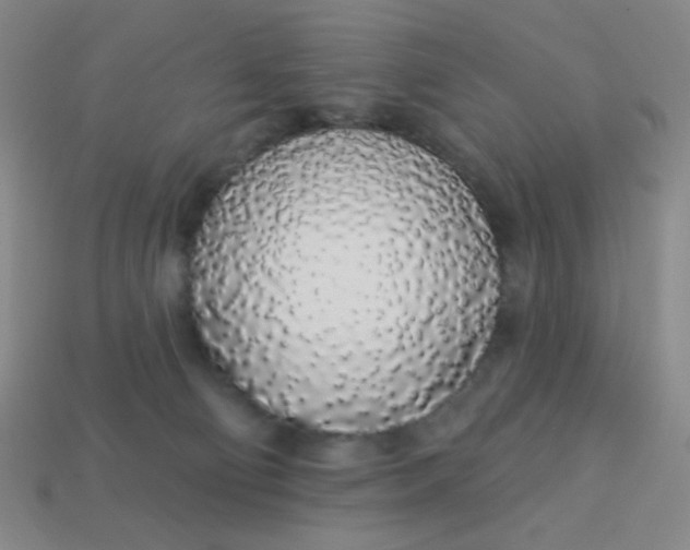 X0000113530130200910091230