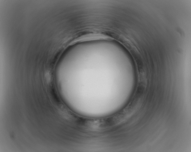 X0000113530131200910091230