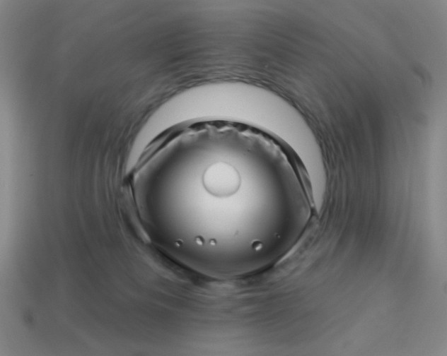 X0000113530133200910091230