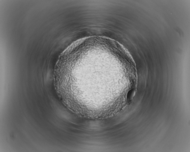 X0000113530134200910091230