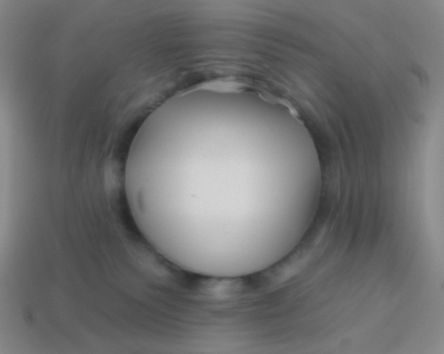 X0000113530135200910091230