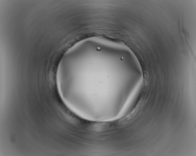 X0000113530136200910091230