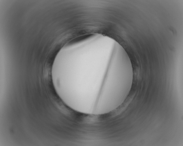 X0000113530138200910091230