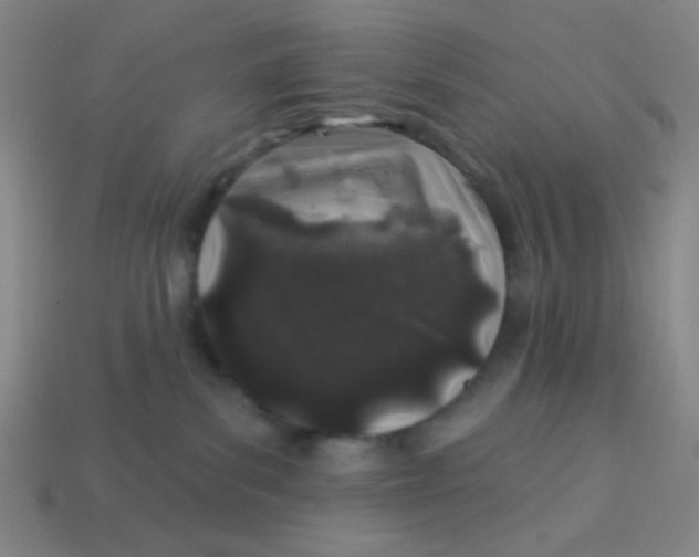 X0000113530139200910091230