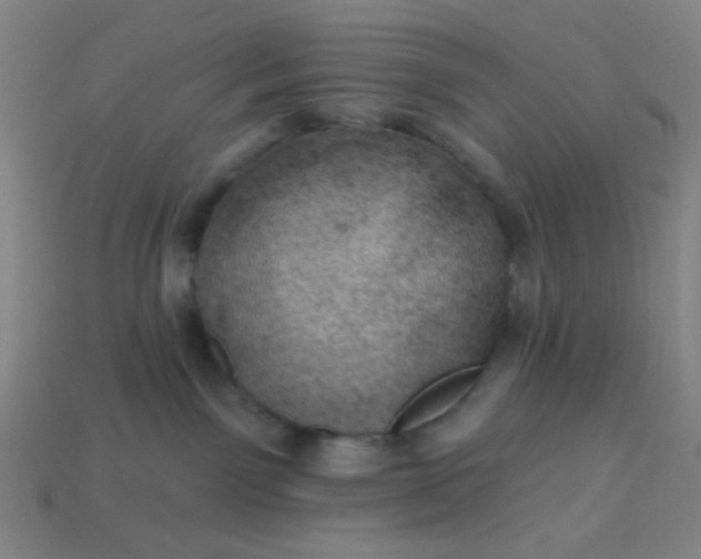 X0000113530141200910091230