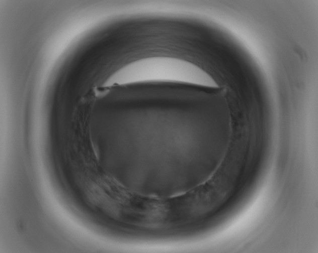 X0000113530143200910091230