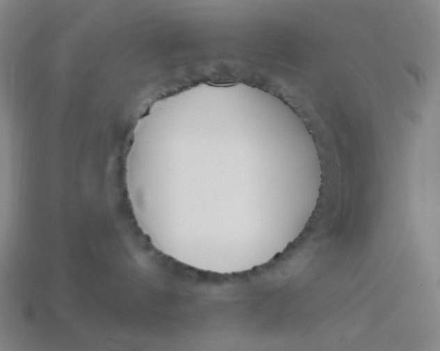 X0000113530144200910091230