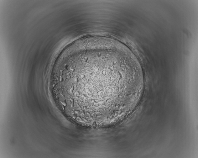 X0000113530145200910091230