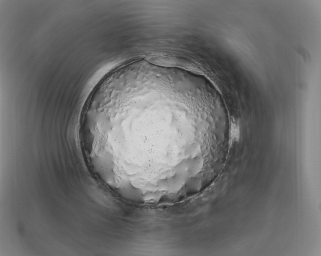 X0000113530147200910091230