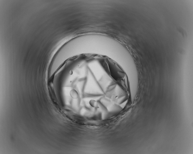 X0000113530148200910091230