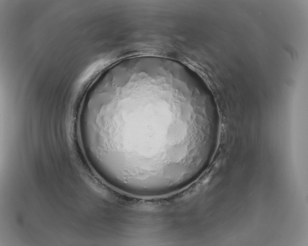 X0000113530149200910091230