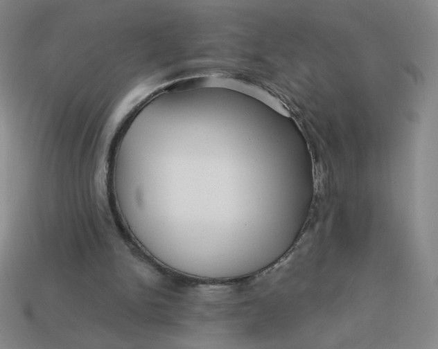 X0000113530150200910091230