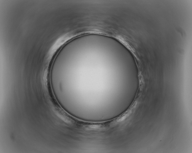 X0000113530151200910091230