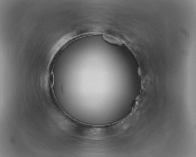 X0000113530152200910091230