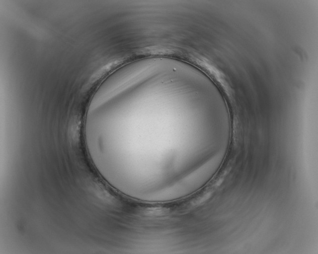 X0000113530153200910091230