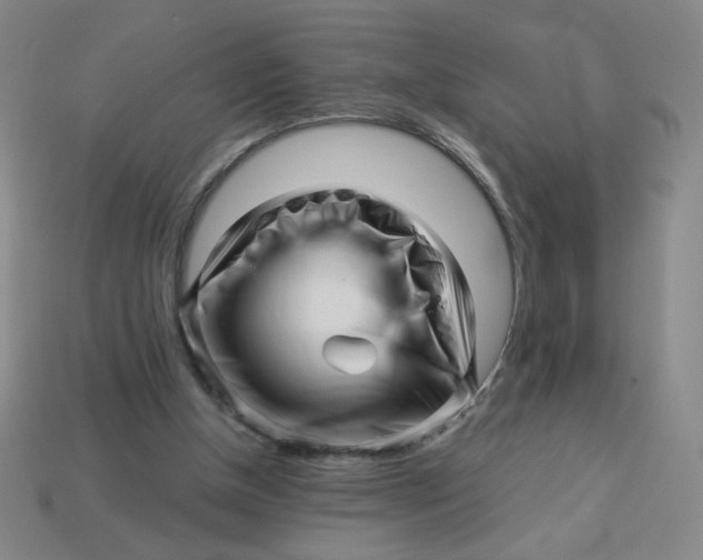 X0000113530154200910091230