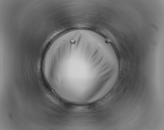 X0000113530155200910091230