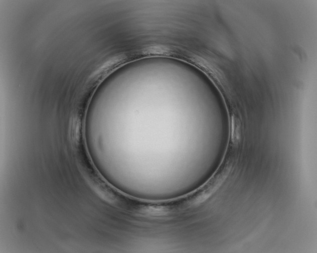 X0000113530157200910091230