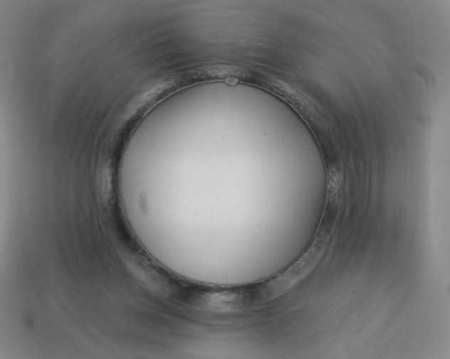 X0000113530158200910091230