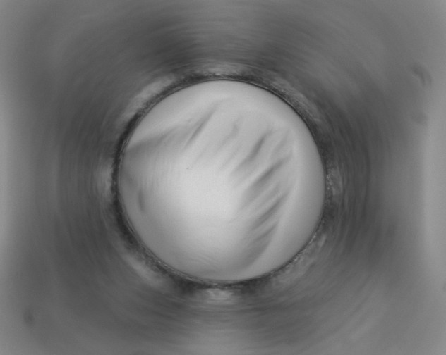 X0000113530159200910091230