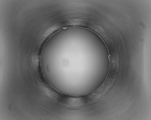 X0000113530160200910091230