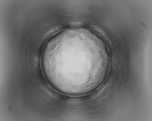 X0000113530161200910091230