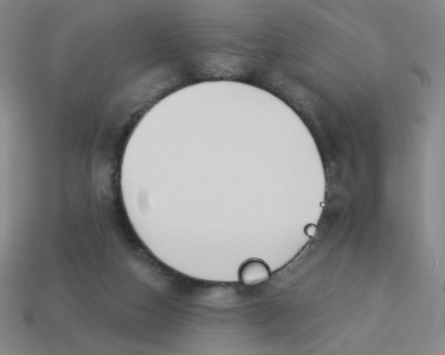 X0000113530162200910091230