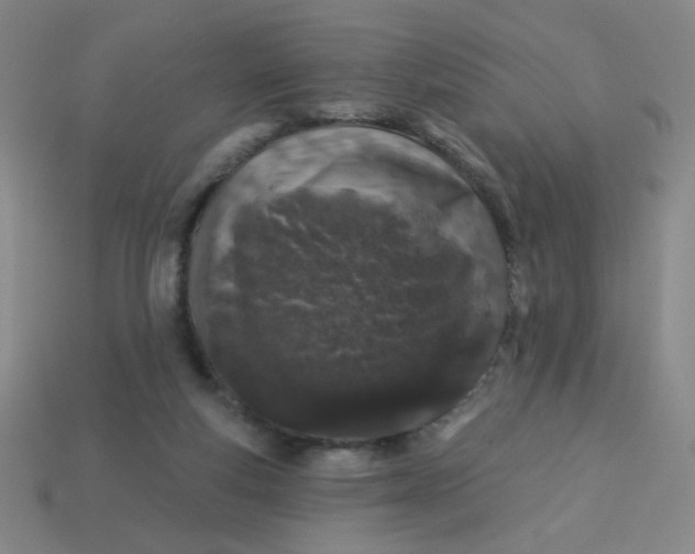 X0000113530163200910091230