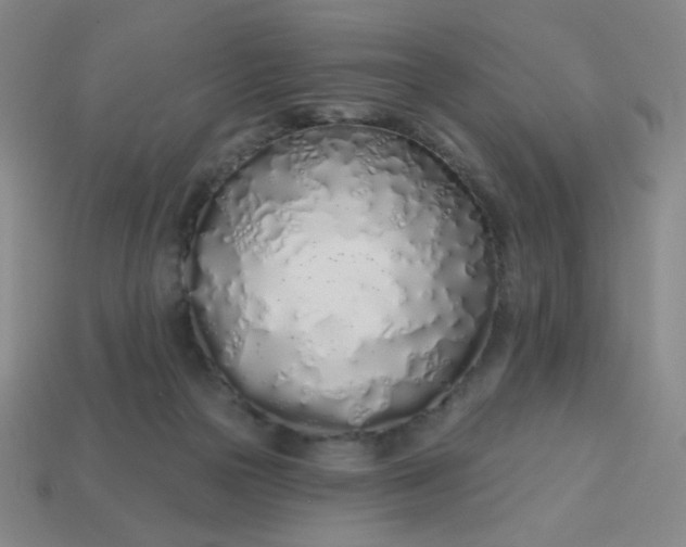 X0000113530169200910091230