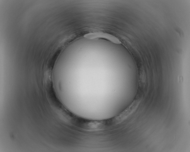 X0000113530172200910091230