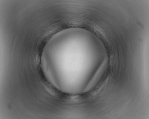 X0000113530173200910091230