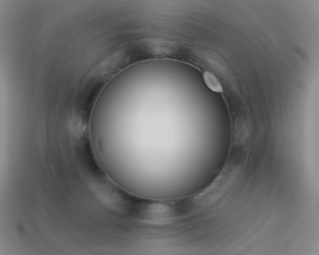 X0000113530176200910091230