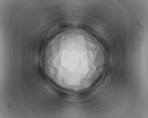 X0000113530177200910091230