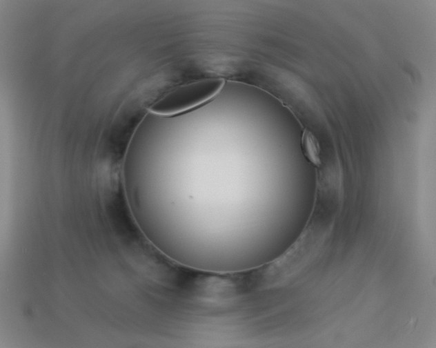 X0000113530180200910091230