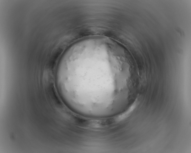 X0000113530182200910091230