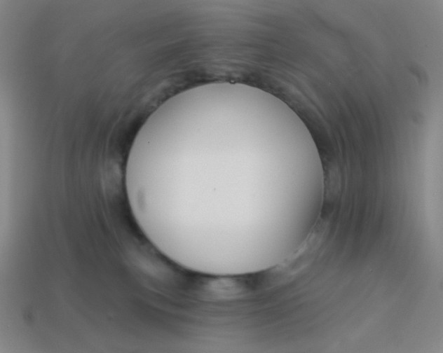 X0000113530183200910091230