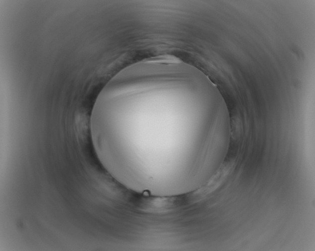 X0000113530184200910091230