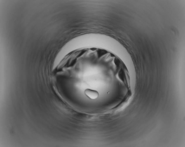 X0000113530186200910091230