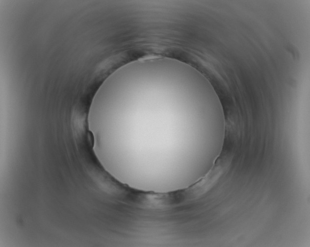 X0000113530188200910091230