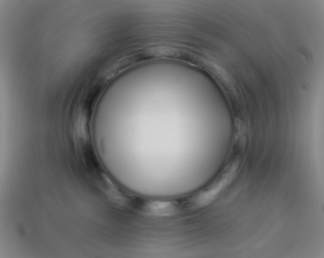 X0000113530189200910091230