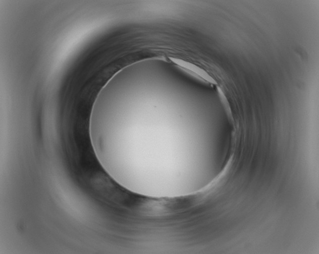 X0000113530190200910091230