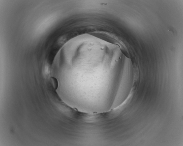 X0000113530191200910091230