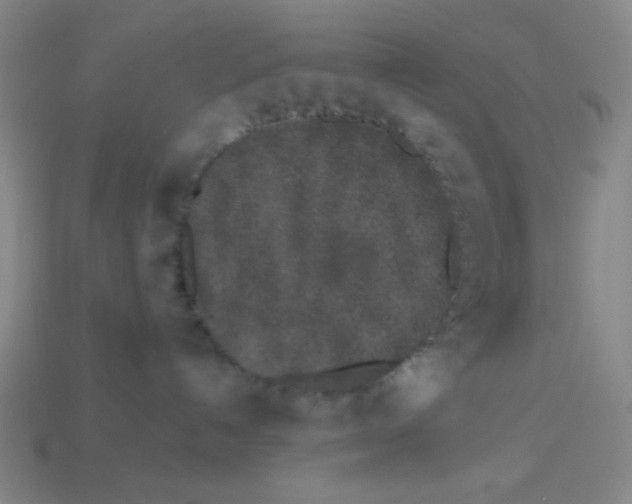 X0000113530192200910091230